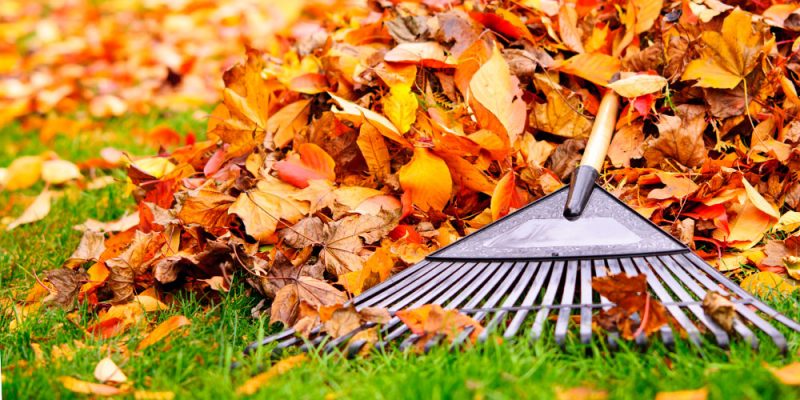 Follow these steps to turn your summer garden into a peaceful outdoor space that's perfect for making the most of Autumn.