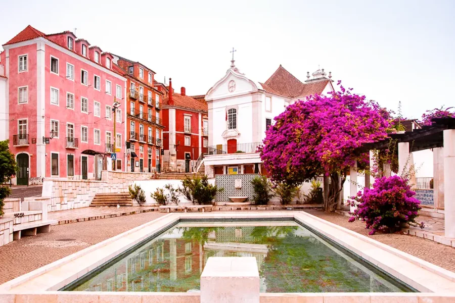 Colourful bougainvillea growing in a courtyard in Lisbon, Portugal.