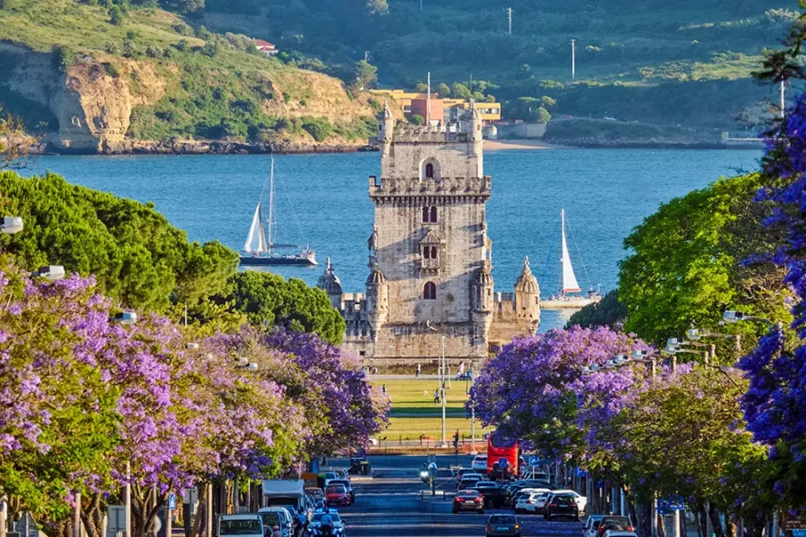 Jacaranda trees lining a street in front of the Belem Tower, Lisbon, Portugal.