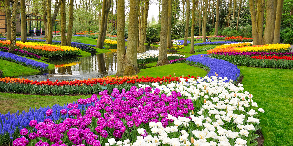 Our Spring itineraries are the perfect way to discover some of Europe's capitals in full bloom!